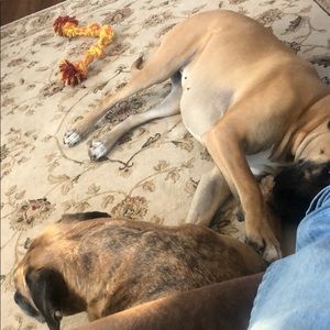 Meet your Posher, Ryan